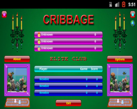 Cribbage (Android) Image