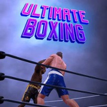 Ultimate Boxing Image