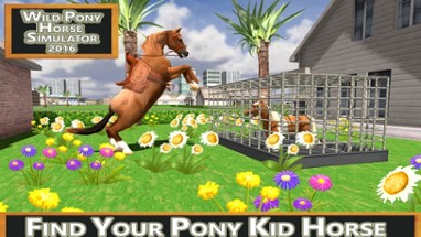 Wild Pony Horse Simulator 2016 Image