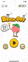 Brain Opt Image