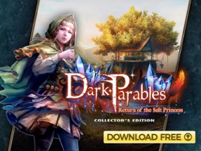 Dark Parables: Salt Princess Image