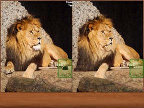 Safari Spot the Difference Image