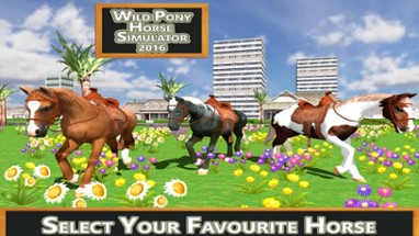 Wild Pony Horse Simulator 2016 Image