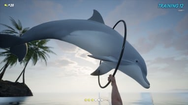 Dolphin Trainer VR Image