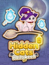 Hidden Cats: Halloween Image