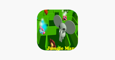 Jungle Maze Image