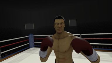 The Thrill of the Fight - VR Boxing Image