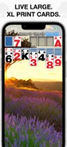 Real Solitaire Image