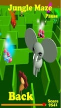 Jungle Maze Image