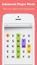 Sight Words Word Search Game Image