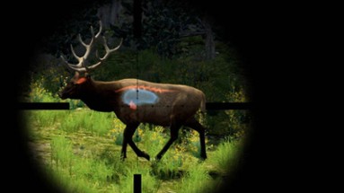 Cabela's Big Game Hunter 2010 Image