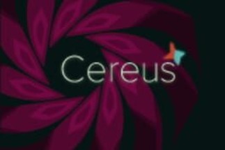 Cereus Image