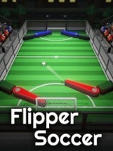 Flipper Soccer Image