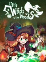 Little Witch in the Woods Image