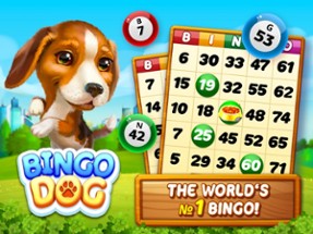 Bingo Dog - Fun Game 2024 Image