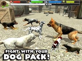 Stray Dog Simulator Image