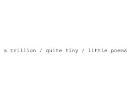 a trillion / quite tiny / little poems Image
