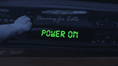 Dancing For Cats Image