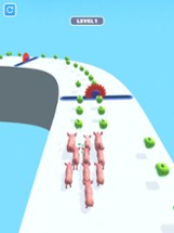 Pig Run 3D Image