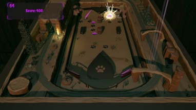 Roxy Raccoon's Pinball Panic Image