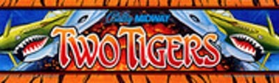 Two Tigers Image
