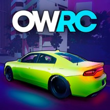 OWRC: Open World Racing Cars Image