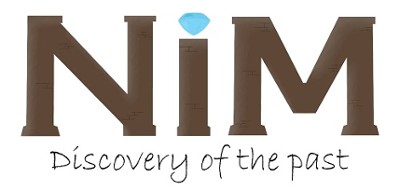 Nim: Discovery of the Past Image