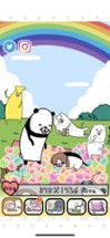 Panda and Dog: AnywhereDogCute Image