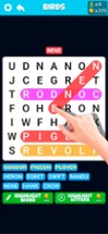 Word Search Infinite Image