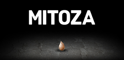 Mitoza Image