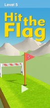 Hit the Flag Image