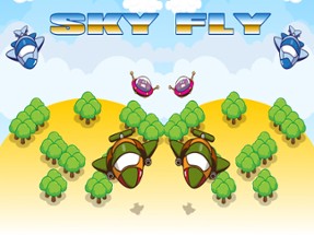 Sky Fly Image