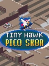 Tiny Hawk: Pico Sk8r Image