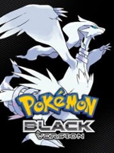 Pokémon Black Version Image