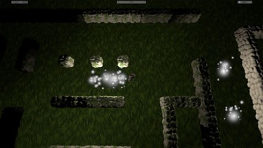 The Maze (first game) Image