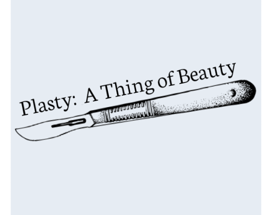 Plasty: A Thing of Beauty Game Cover