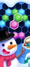 Block Hexa - Match Puzzle Image