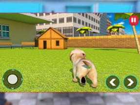 Pet Dog: Virtual Family Image