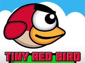 Tiny Red Bird Image