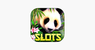 Wild Diamond Panda Slots Free Slot Machines Games Image