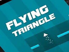 Flying Triangle 2021 Image