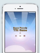 Maze Puzzle Tilt Teeter  Game Image