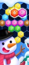 Block Hexa - Match Puzzle Image