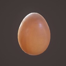 egg. Image