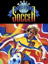 World Trophy Soccer Image