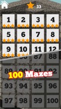 3D Maze Level 100 Image
