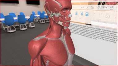 3D Organon VR Anatomy Image