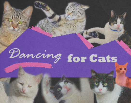 Dancing For Cats Game Cover