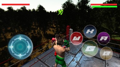 International Real Boxing Champion Game Image