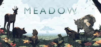 Meadow Image